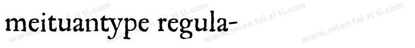 meituantype regula字体转换